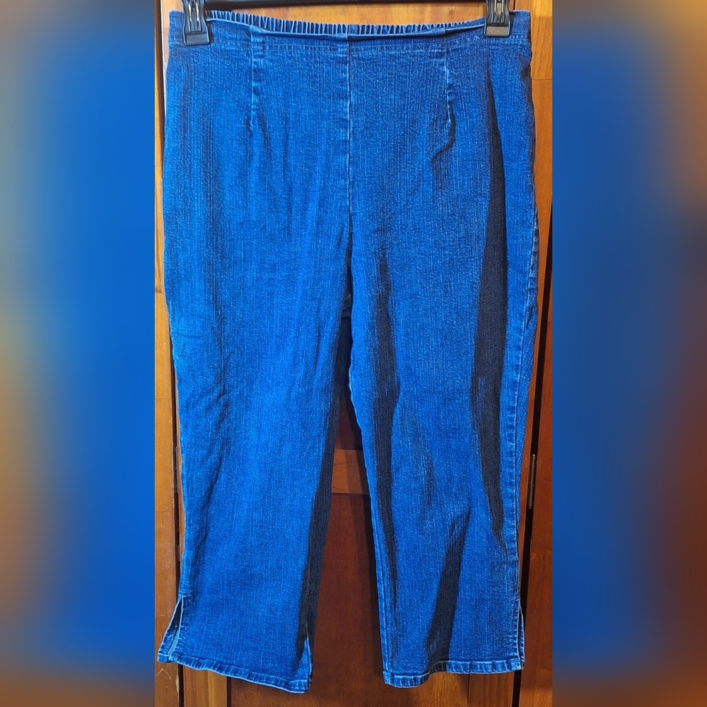 FADED GLORY STRETCH capris Size L (30×20)